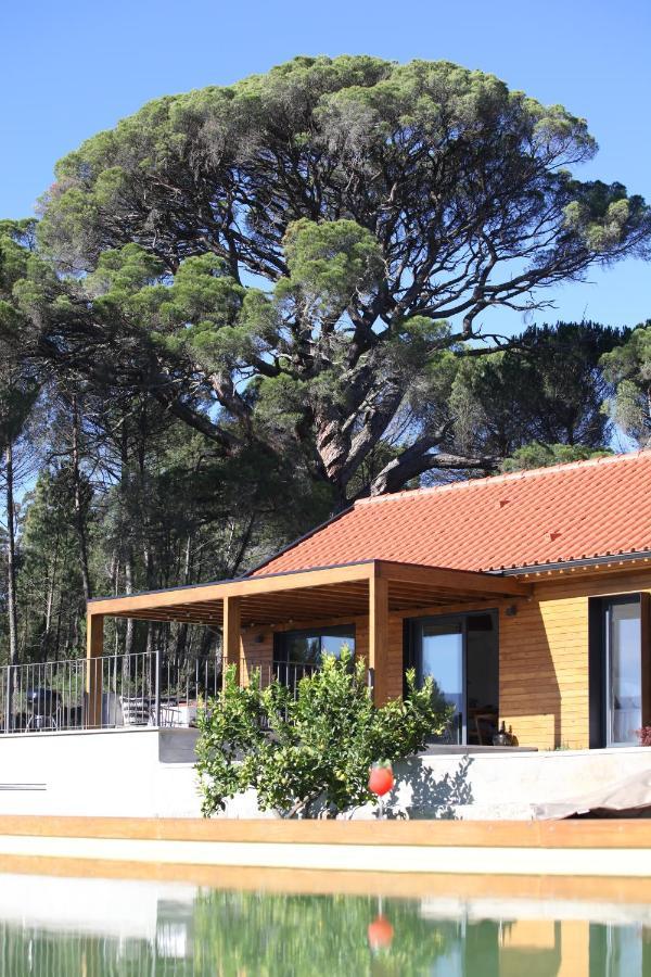 フォルノス・デ・アルゴドレス Casas Do Pinheiro Grandeヴィラ エクステリア 写真